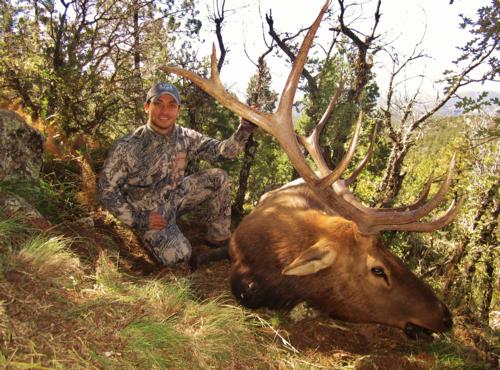 New Mexico Muzzleloader Bull